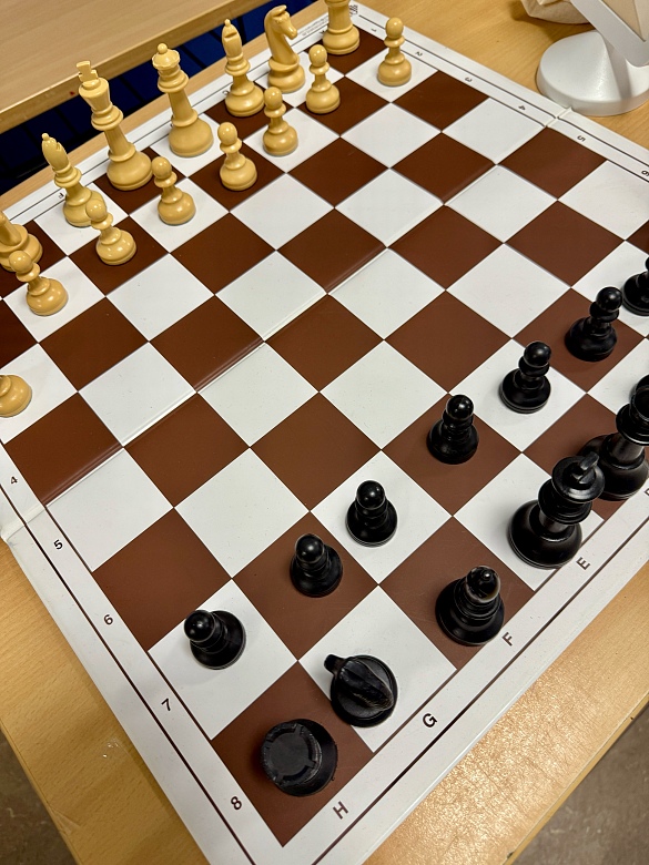 Beim Spiele-Parcours gab es auch Schach. 