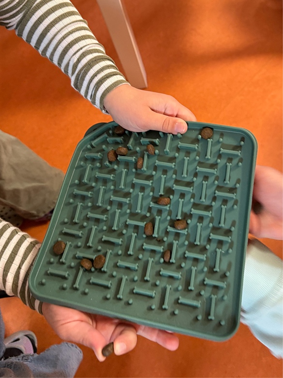 Wer möchte darf Frieda unter Anleitung ein gesundes Leckerli (Trockenfutter) anbieten. 