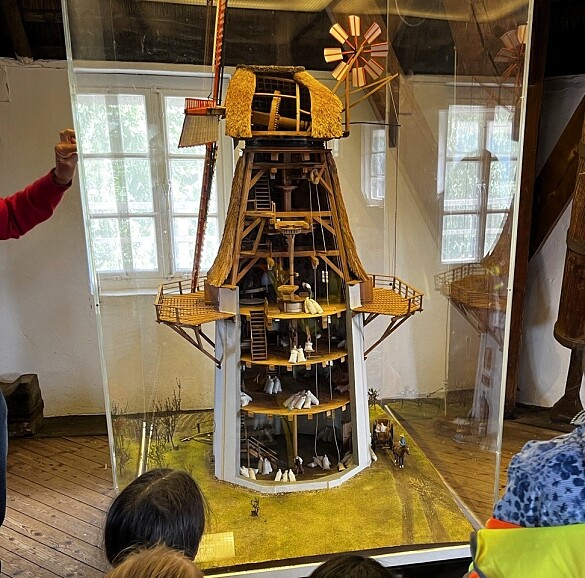 Die Kinder betrachten ein Modell von einer Mühle. 