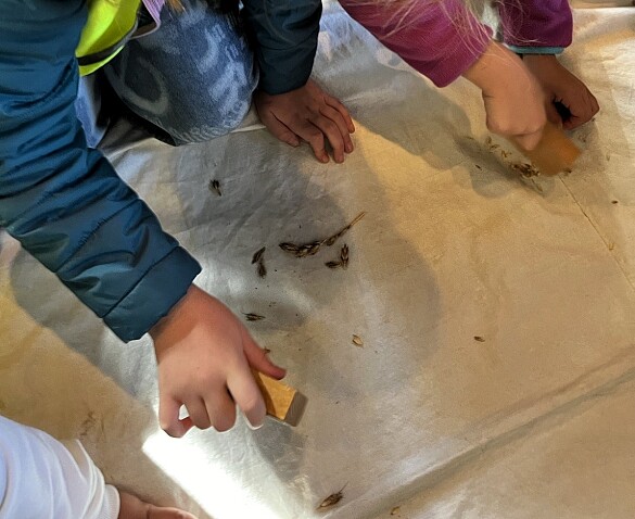 Die Kinder zerdrücken Getreidekörner. 