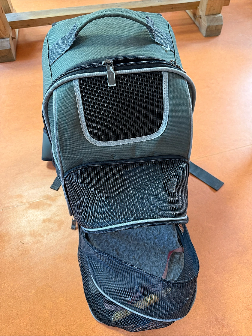 Im Rucksack ist Friedas Ruheplatz.